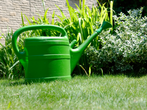 Watering Can