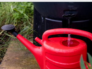 Water can