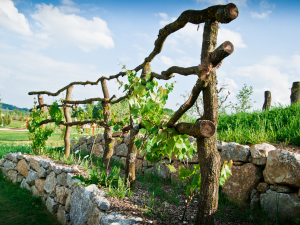 Log trellis