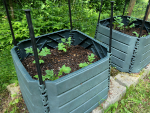 Unusual planters