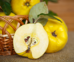 "Wicker basket filled with yellow quinces, including one halved fruit showing pale yellow flesh and a central core with brown seeds, accented by a green leaf on the stem and surrounded by softly focused quinces and foliage."