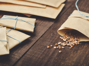 Seeds