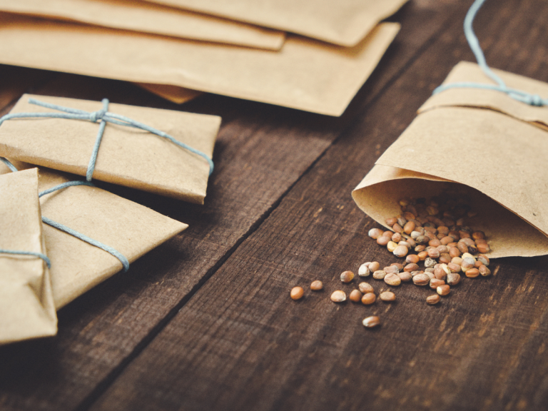 Seeds