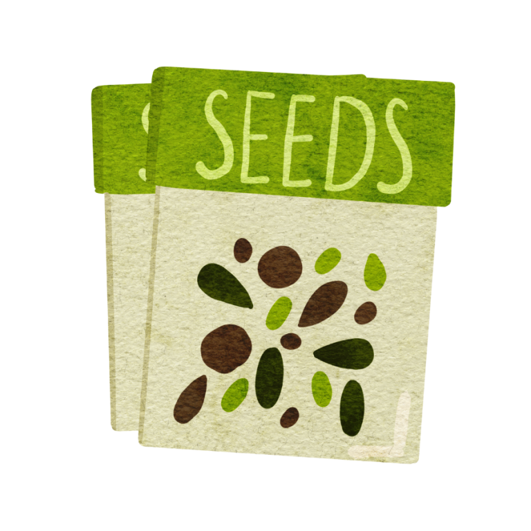 Seed Packets