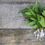 Softwood shrub cuttings