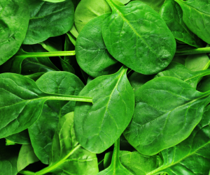 Spinach