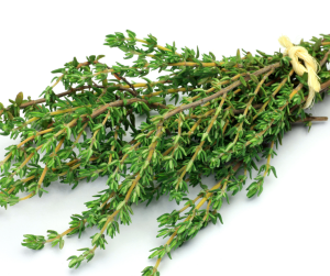 Thyme