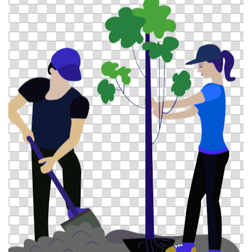 Plant a tree