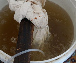 Worm Tea