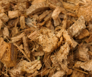 Coco Coir Husk