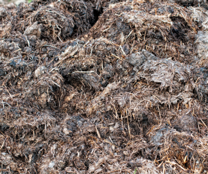 Manure