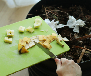 Image showing chopped food scraps being added to composter