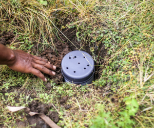 In ground worm composter