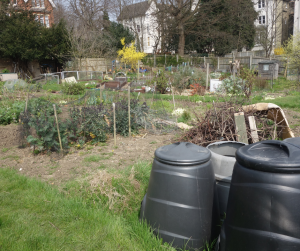 Compost Bins