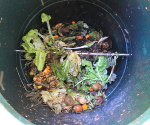 Food in Worm Tower