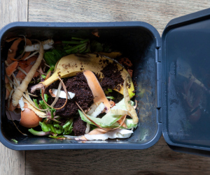 Image of Composter with food scraps