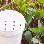 In-ground Vermicompost