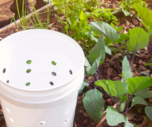 DIY Worm Tower