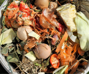 Image of Food Scraps