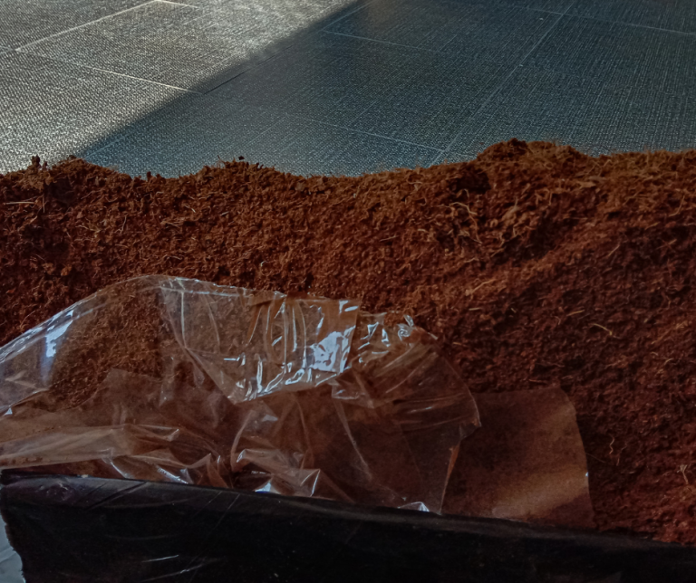 Coco Coir