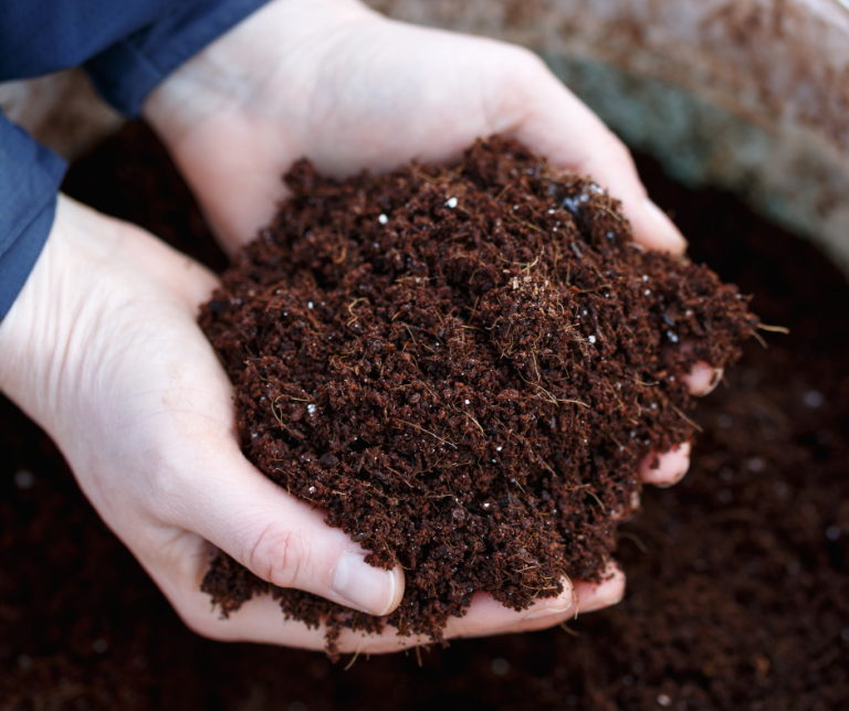 Image of Compost