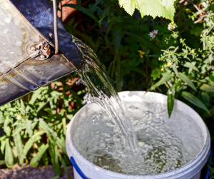 Hydrate