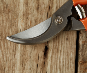 secateurs