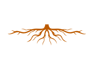 Spreading roots