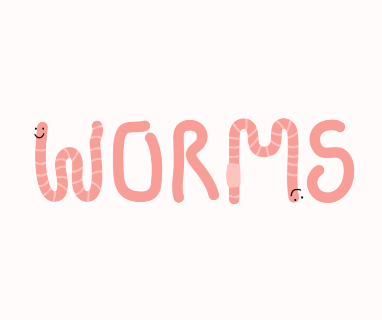 Worms