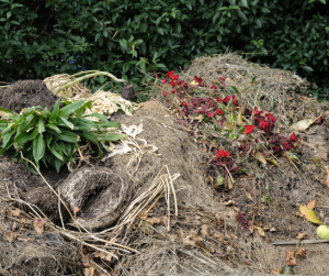 Compost heaps