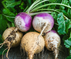 Turnips