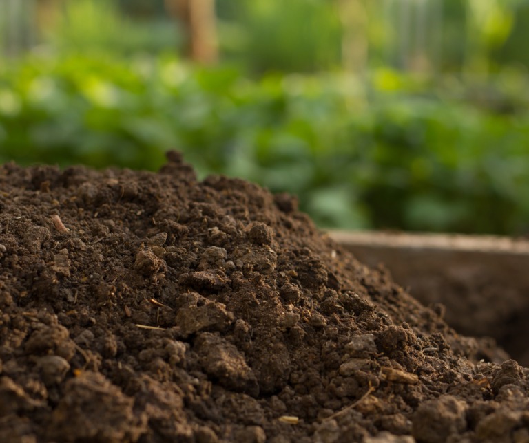Image of Compost