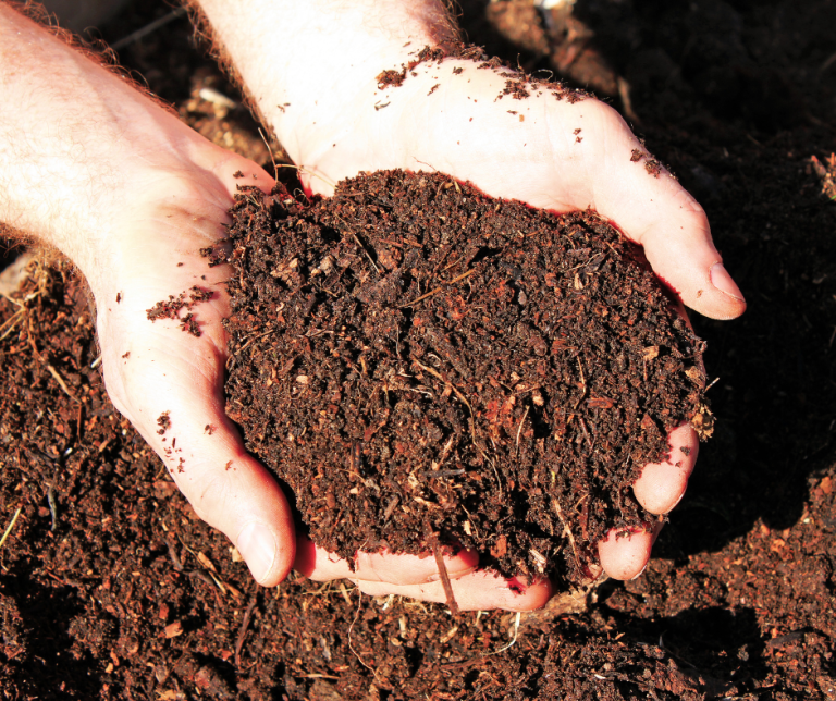 Image of Compost