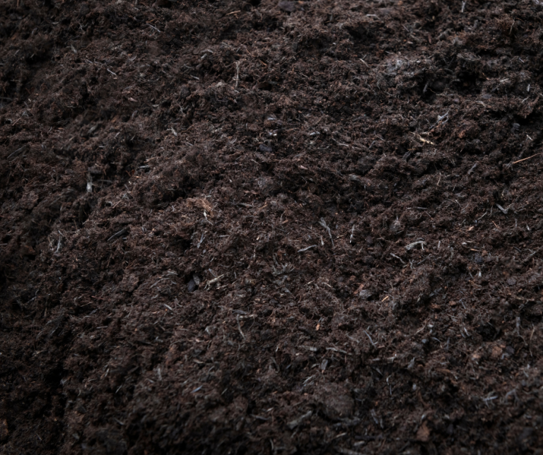Image of Compost