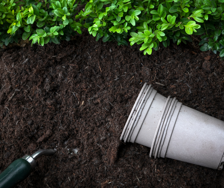 Image of Compost