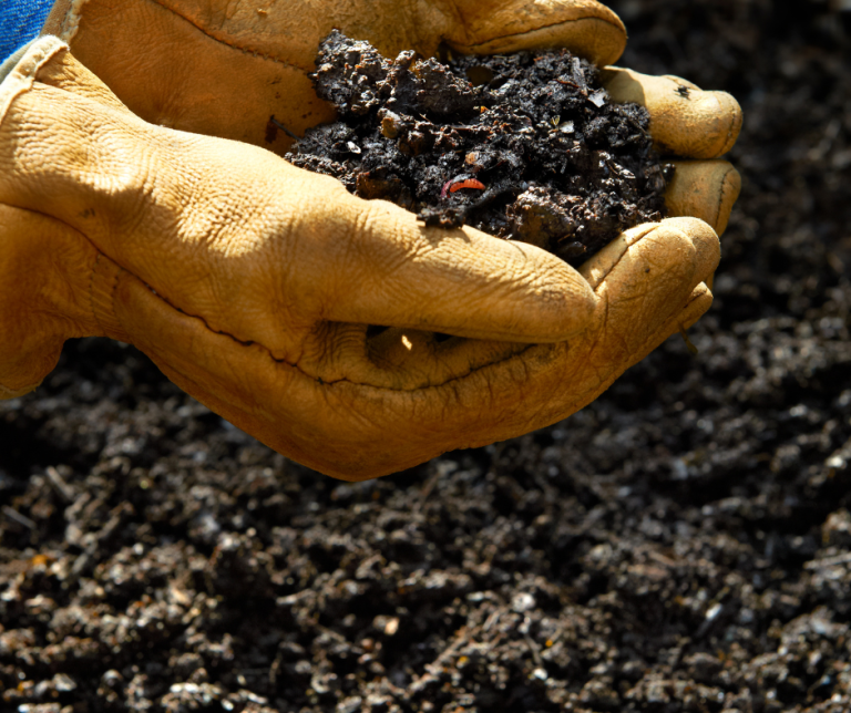 Image of Compost