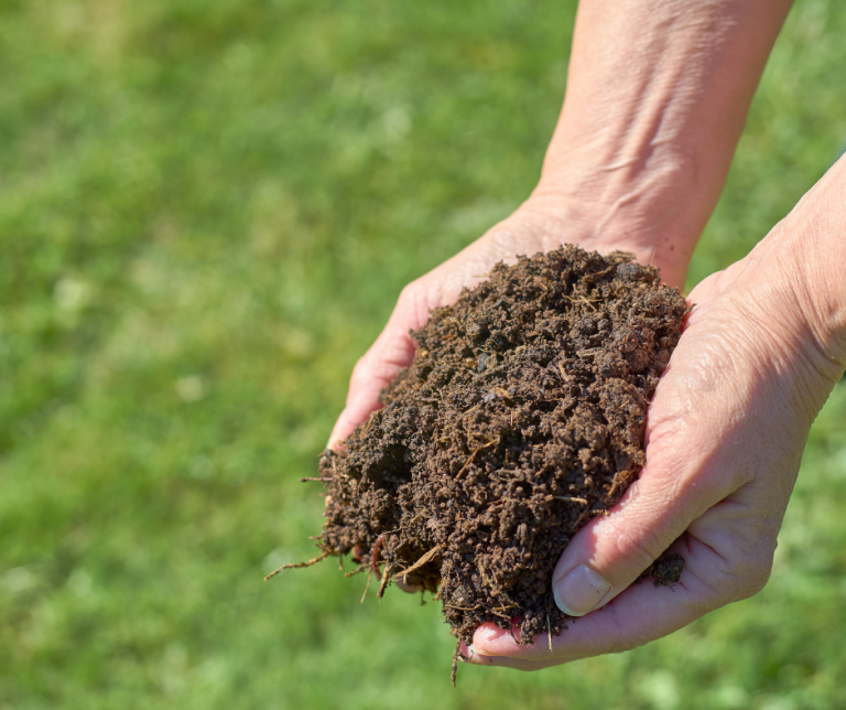Image of Compost