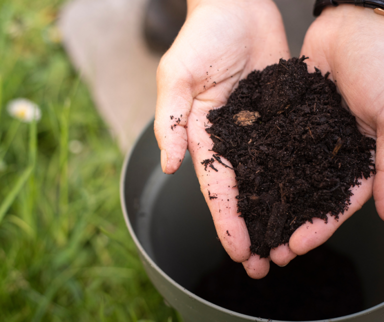 Image of Compost