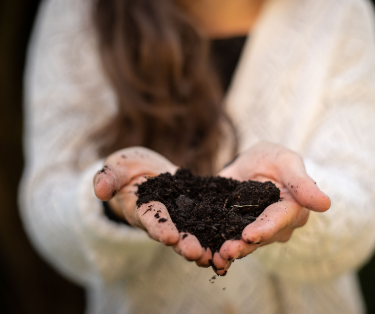Image of Compost