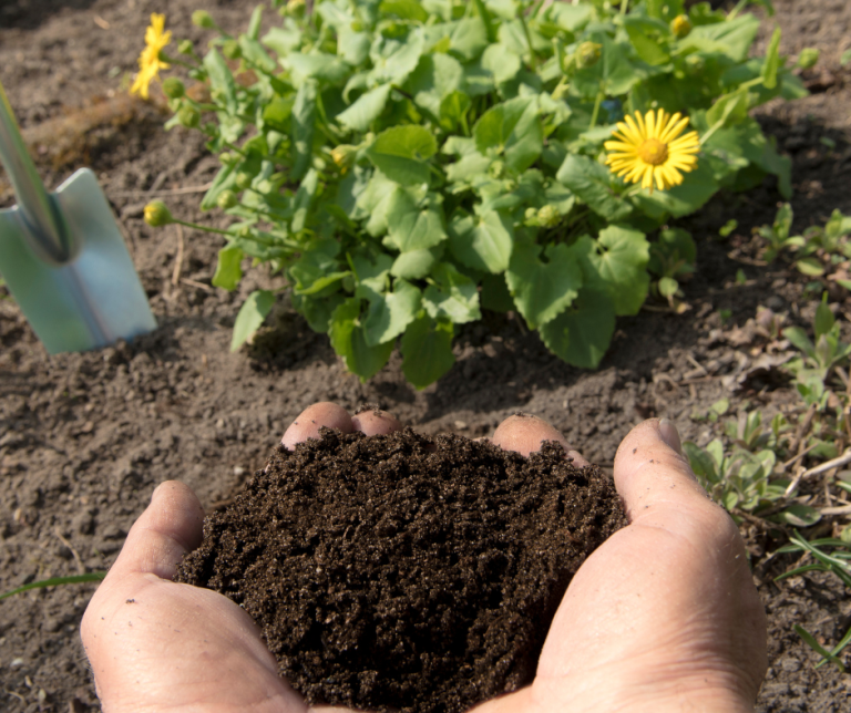 Image of Compost
