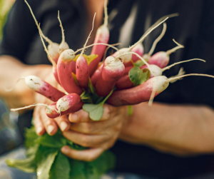 Radish