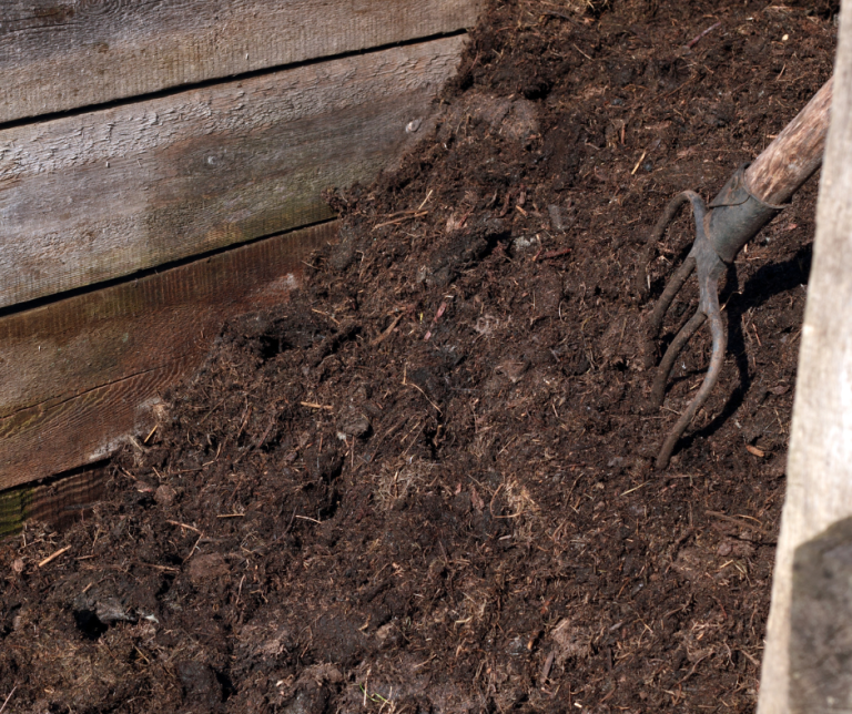Image of Compost