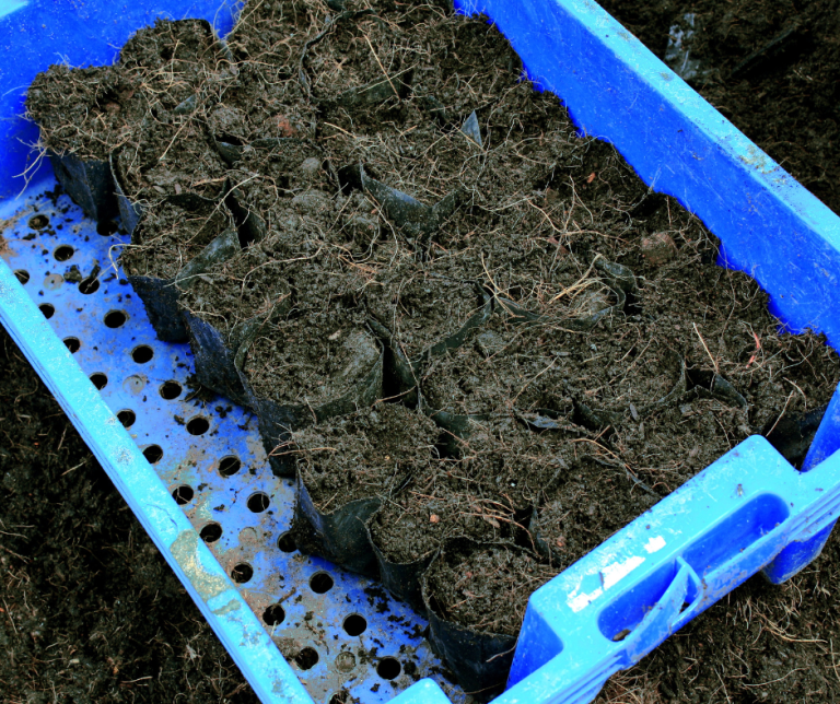 Image of Compost