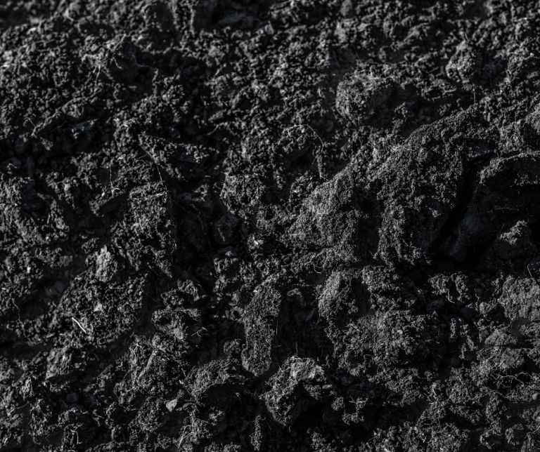 Image of Compost