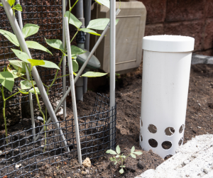 In ground worm composter