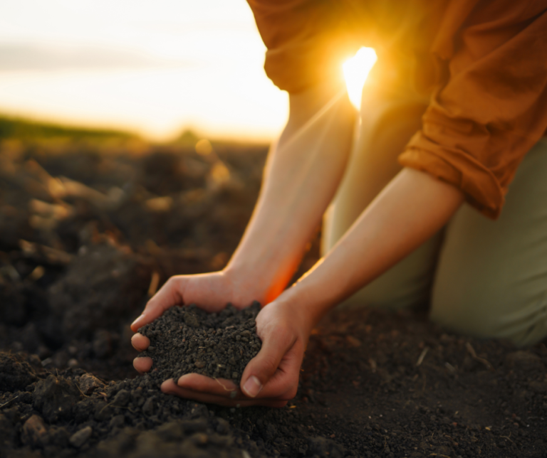 Image of Compost