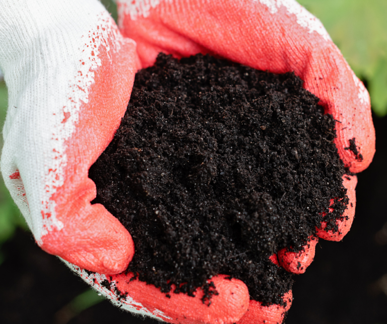 Image of Compost