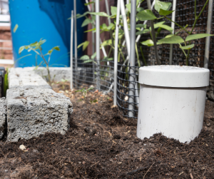 In ground worm composter