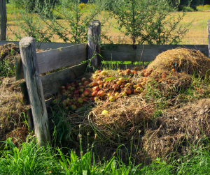 Compost heaps