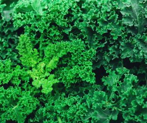 Kale